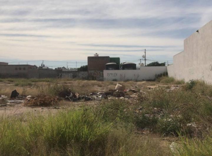 Ayuntamiento recuperará lotes baldíos abandonados en colonias céntricas