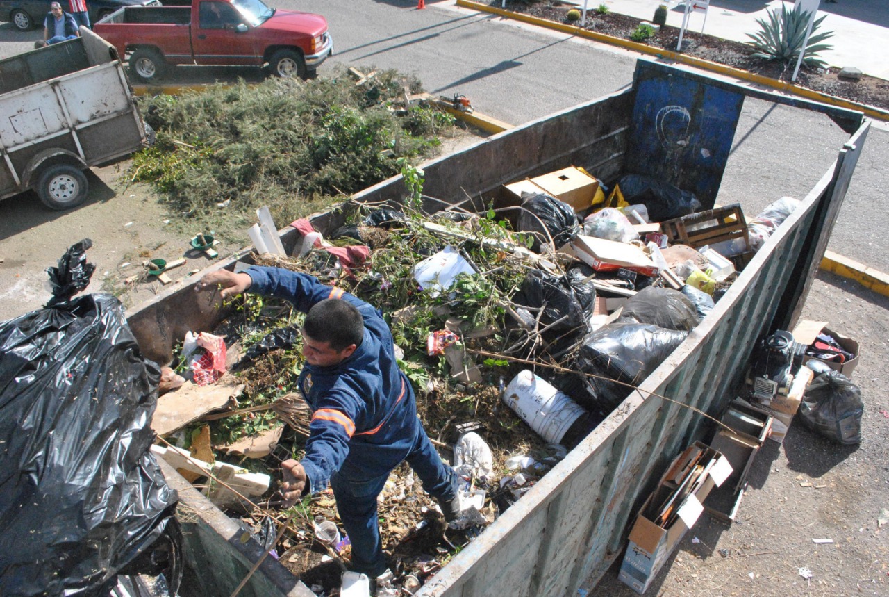 Hay 80 basureros clandestinos en Hermosillo, piden donar pinos de Navidad en centros de acopio