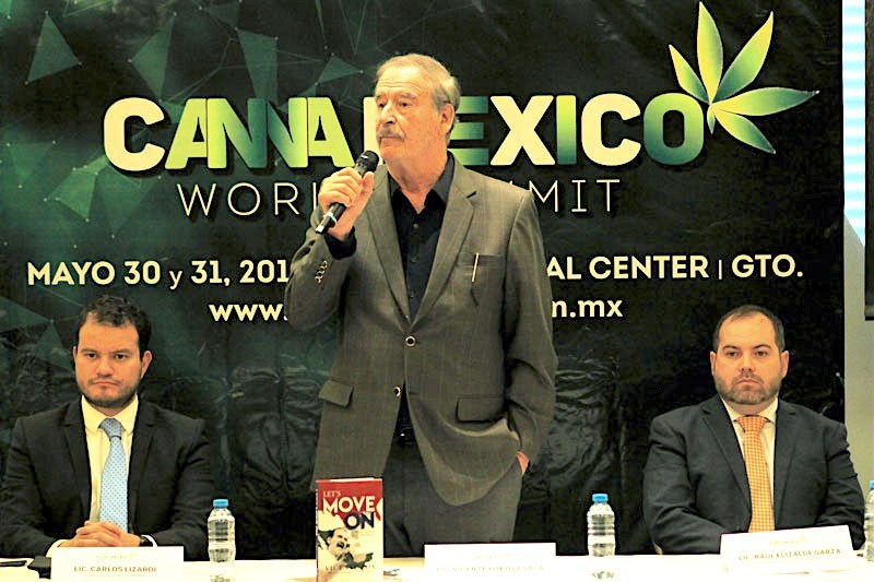 Vicente Fox se asocia en NL para comercializar productos de cannabis