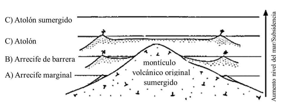 Teoría de Darwin sobre la formación de atolones | Instituto de Geología UNAM Sonora