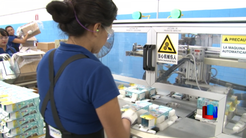 Sonora, cuarto lugar en generación de empleos: IMSS