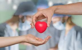 Capacitarán a futuros docentes en Sonora sobre donación de órganos y trasplantes