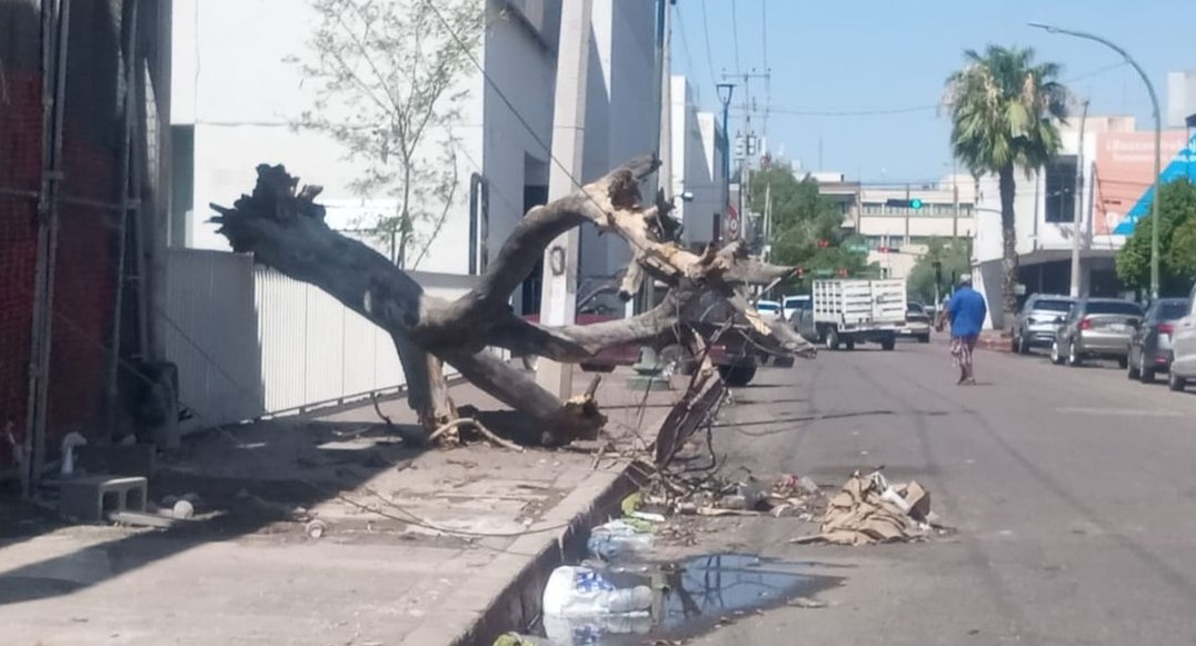 Azota microburst a Hermosillo, lluvia y granizo causan daños materiales