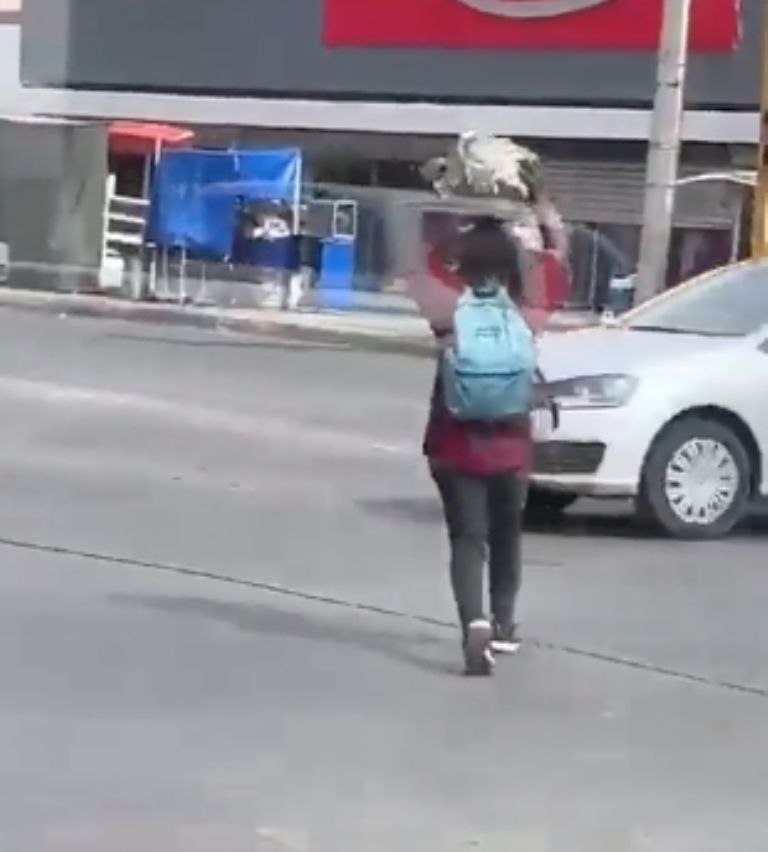Captan a mujer arrojando enormes bloques de cemento a conductores en Sonora