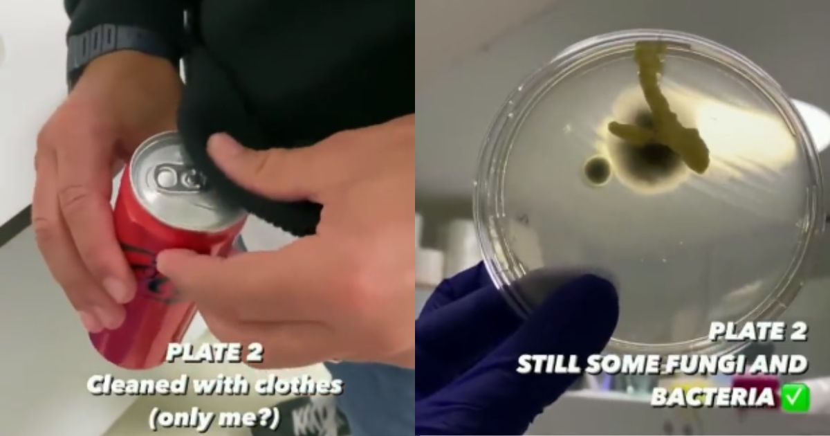 Un video viral ha “mostrado” todas las bacterias que hay en una lata de refresco.