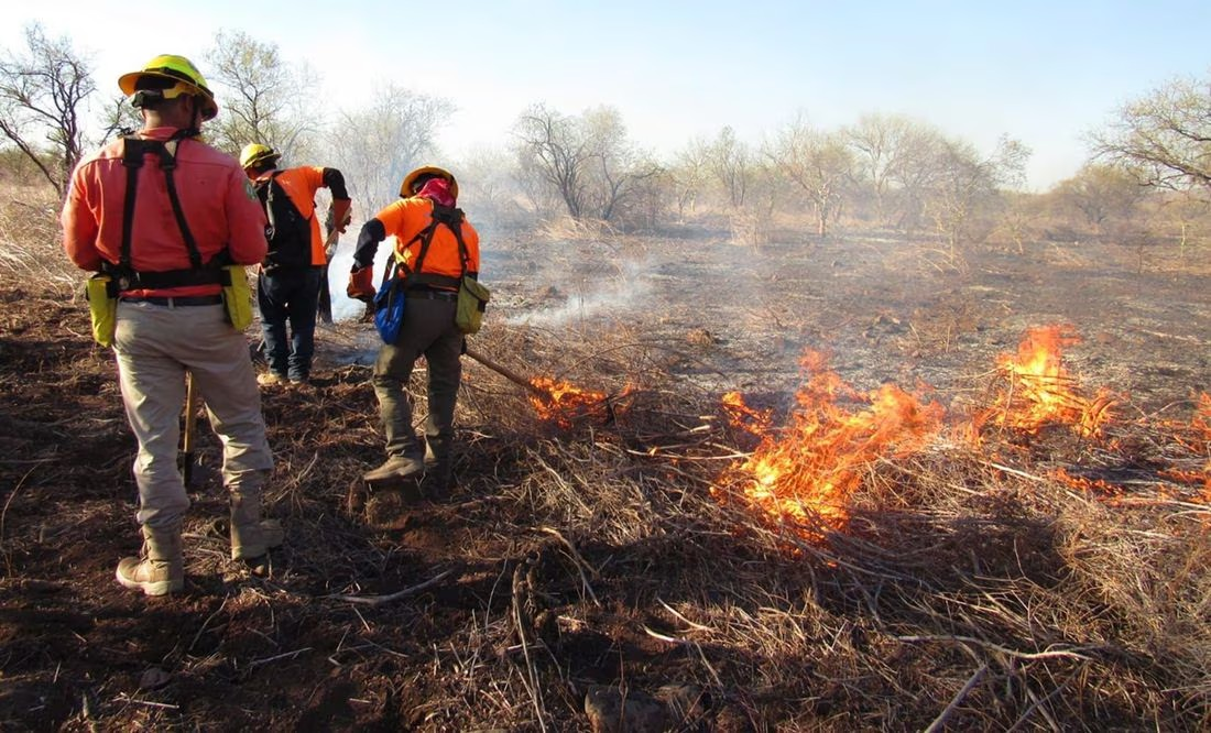 Controlan y sofocan incendio forestal en la sierra del Quiriego