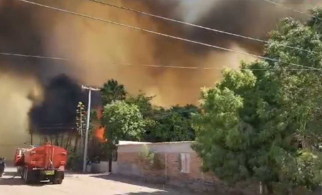 Fuerte incendio forestal arrasa con vegetación silvestre en El Tular