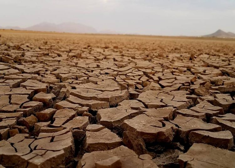 Reportan disminución de sequía extrema en Sonora