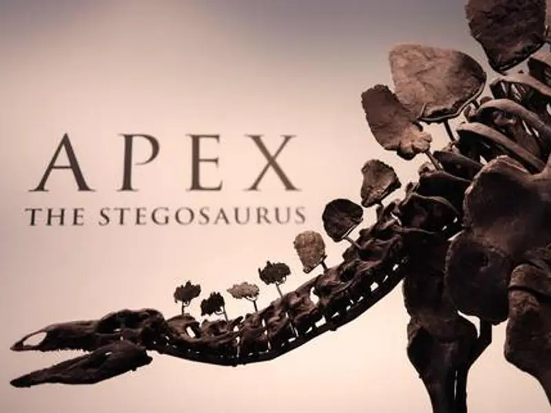 ¡Rompió récord! Subastan esqueleto de estegosaurio por más de 44 millones de dólares
